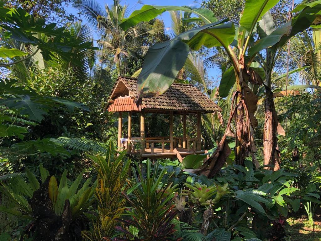 Bali Mountain Forest Cabin Penebel Dış mekan fotoğraf