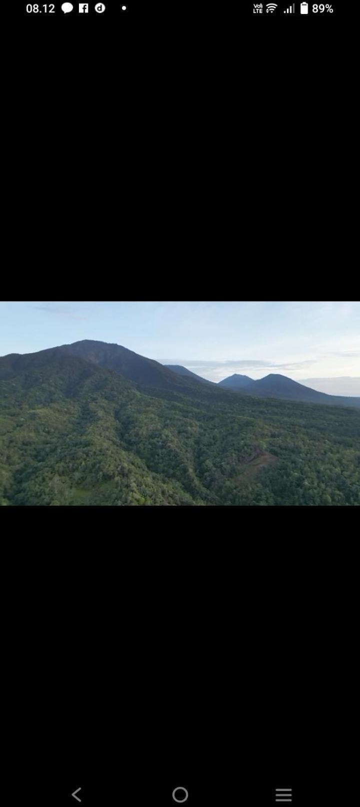 Bali Mountain Forest Cabin Penebel Dış mekan fotoğraf