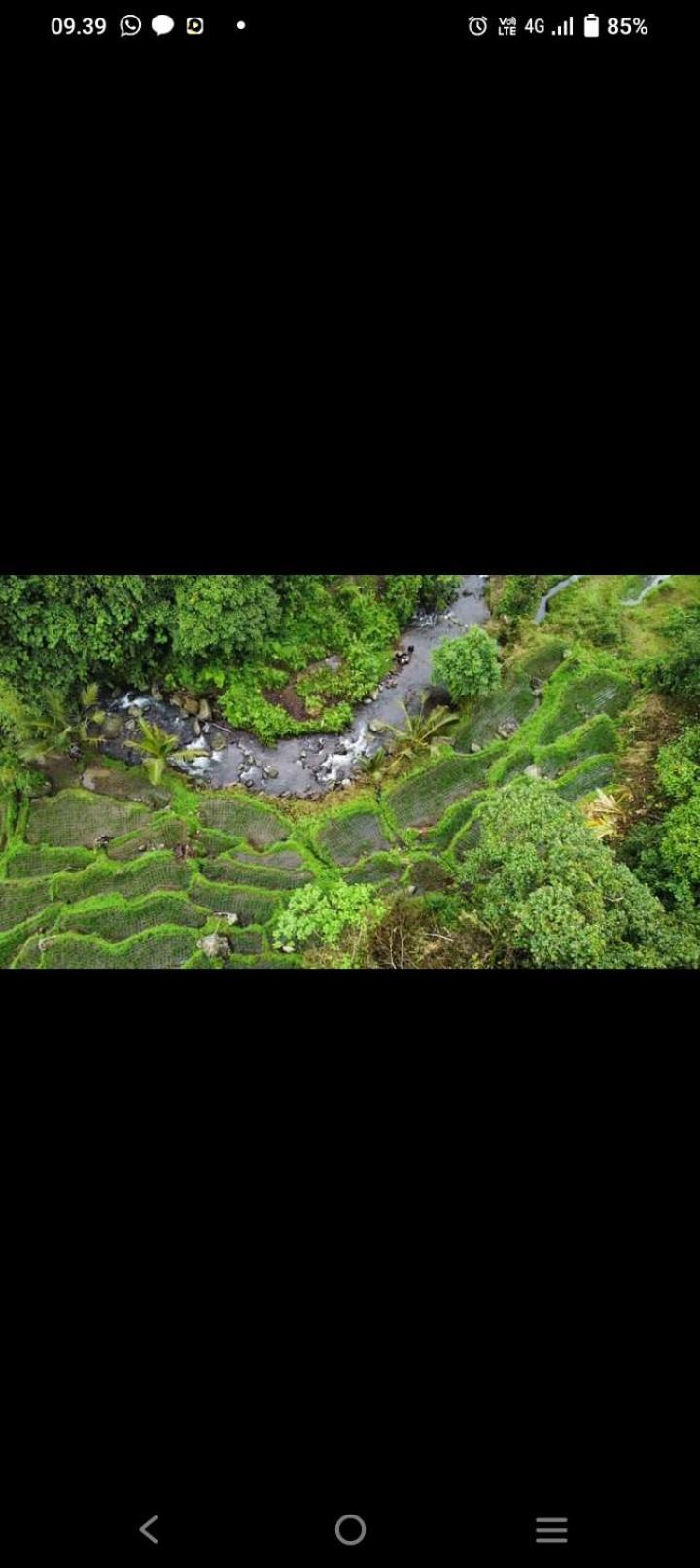 Bali Mountain Forest Cabin Penebel Dış mekan fotoğraf
