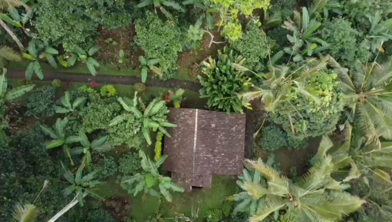 Bali Mountain Forest Cabin Penebel Oda fotoğraf