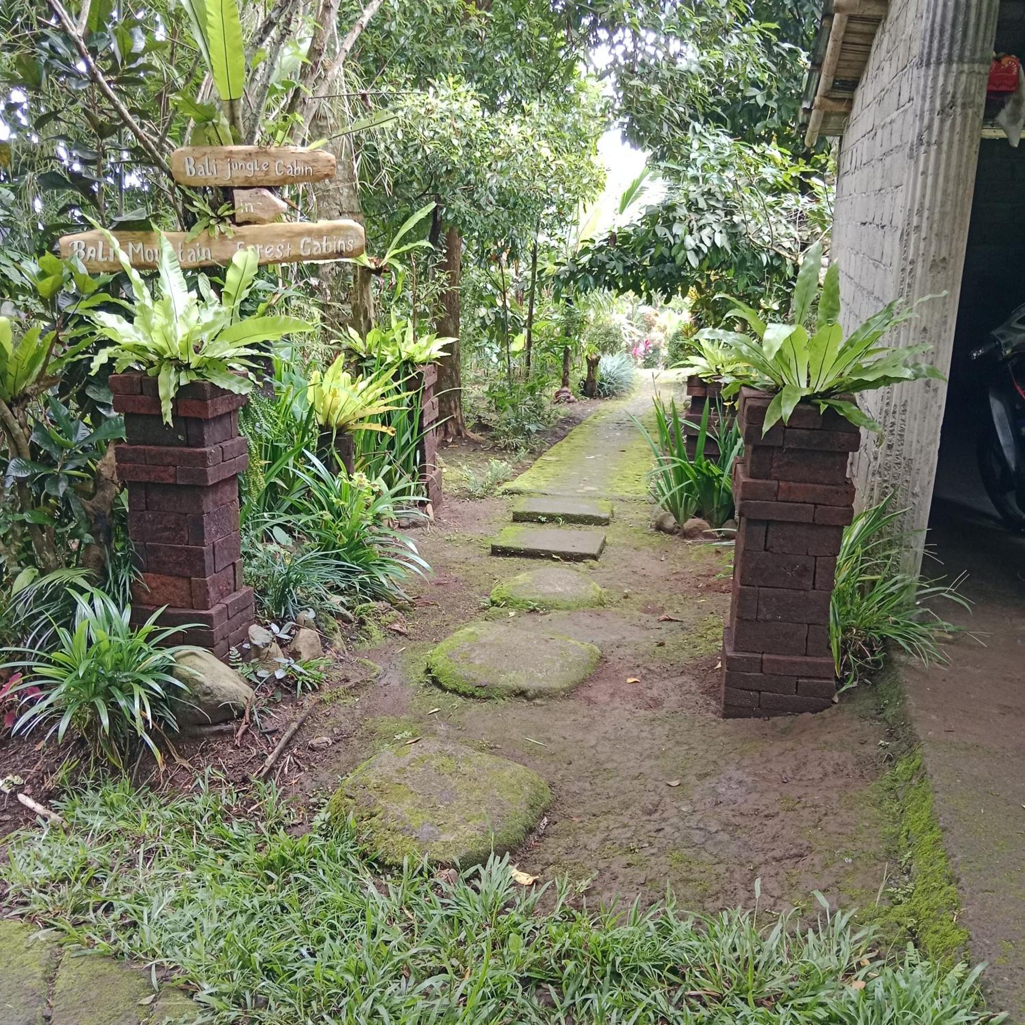 Bali Mountain Forest Cabin Penebel Oda fotoğraf