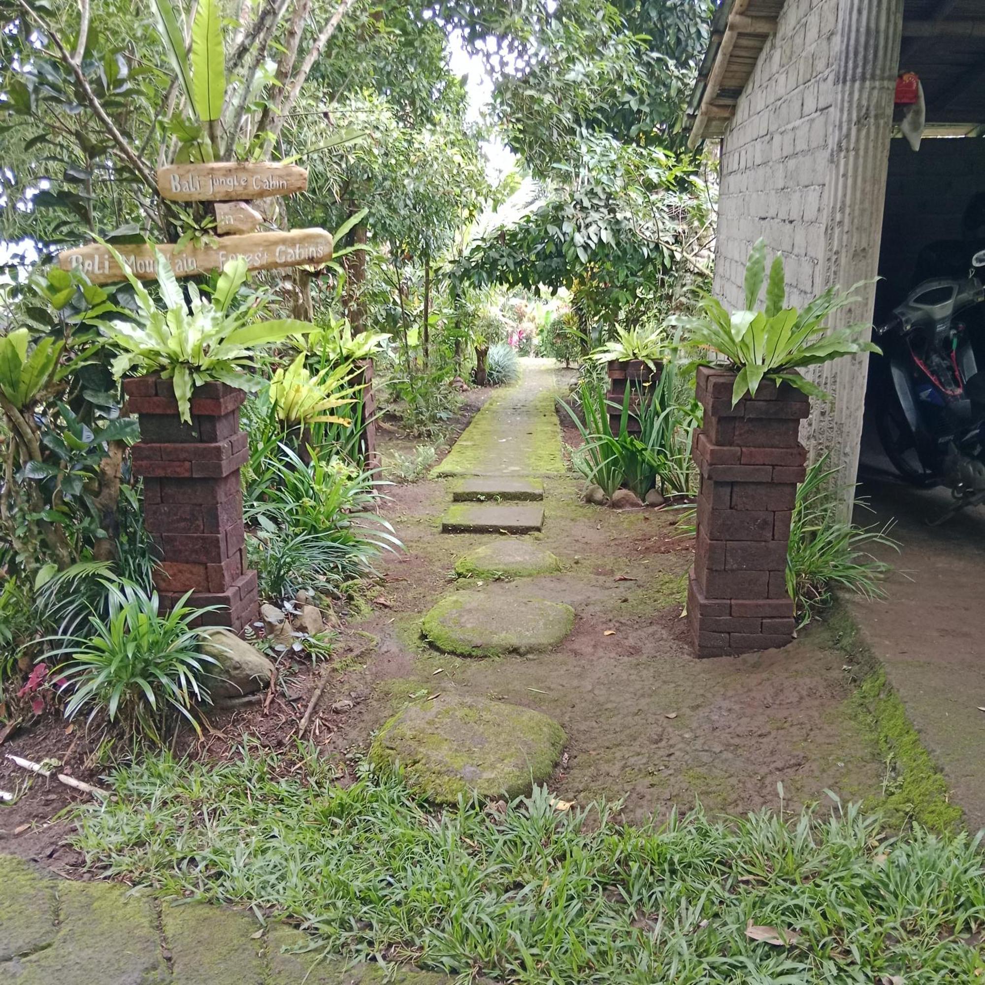 Bali Mountain Forest Cabin Penebel Dış mekan fotoğraf