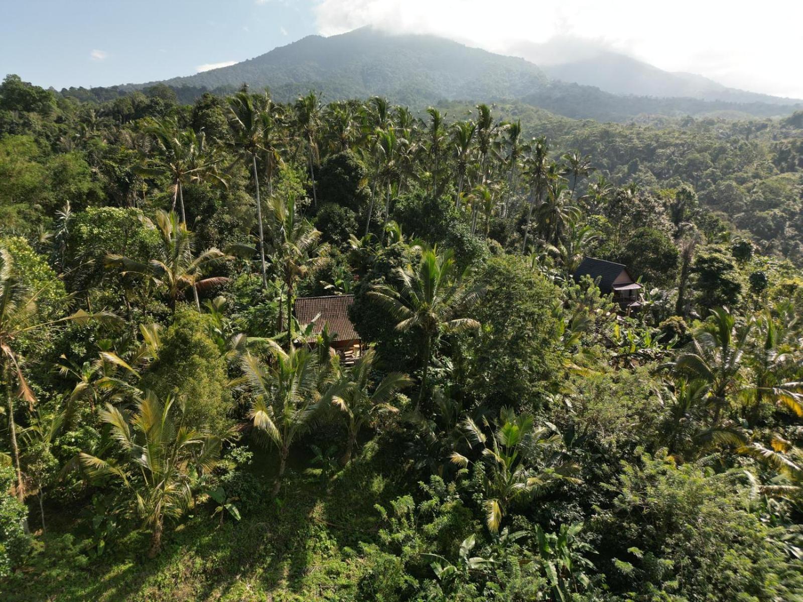 Bali Mountain Forest Cabin Penebel Oda fotoğraf