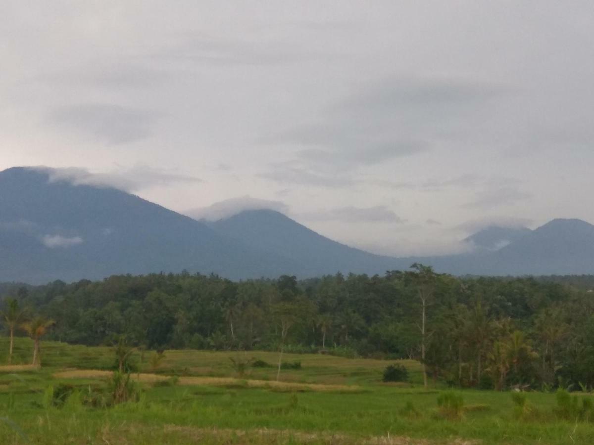 Bali Mountain Forest Cabin Penebel Dış mekan fotoğraf
