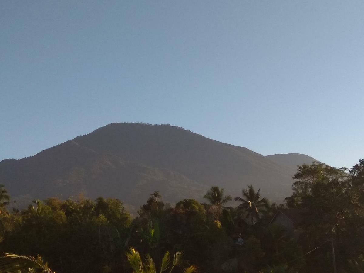 Bali Mountain Forest Cabin Penebel Dış mekan fotoğraf