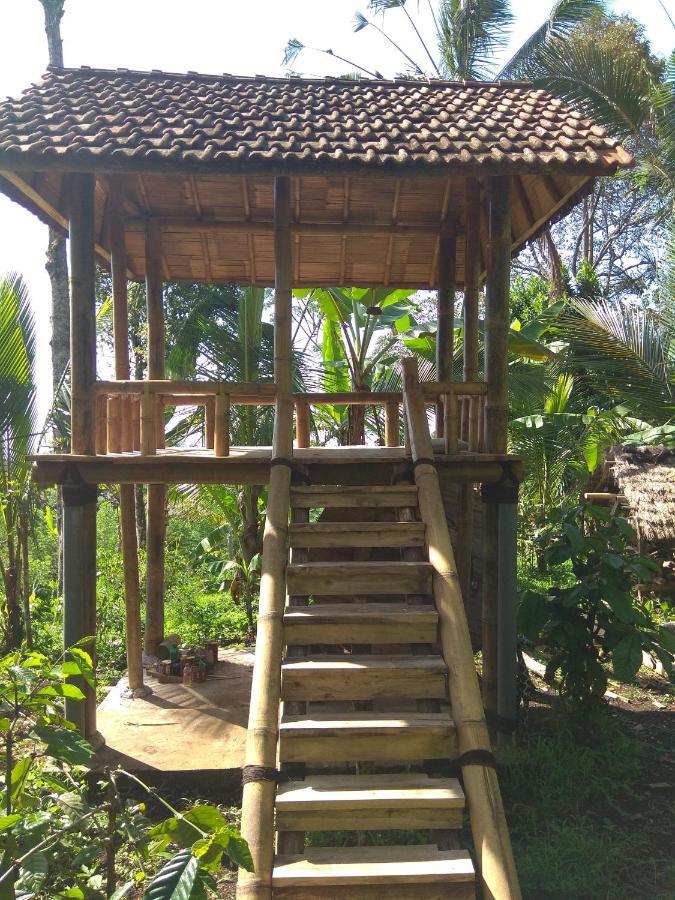 Bali Mountain Forest Cabin Penebel Oda fotoğraf